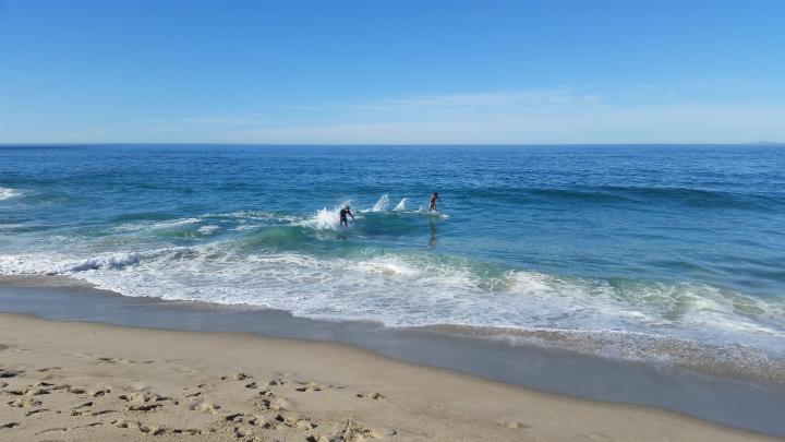 Surfers