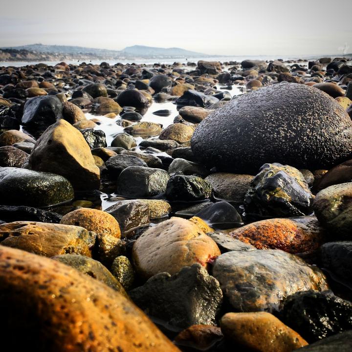 Tide Pools