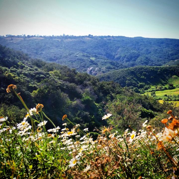 View from Soka University
