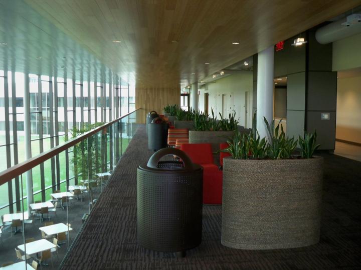 Microsoft Campus tour - Aug, 2011