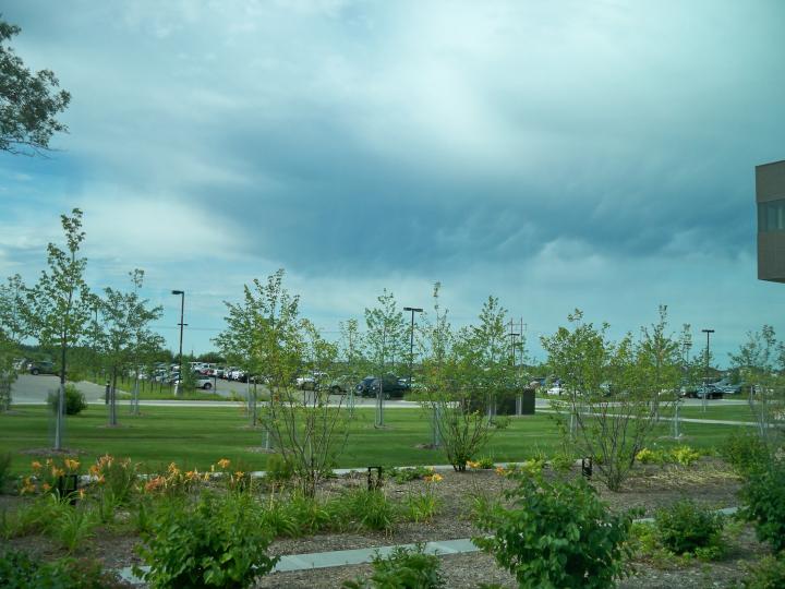 Microsoft Campus tour - Aug, 2011